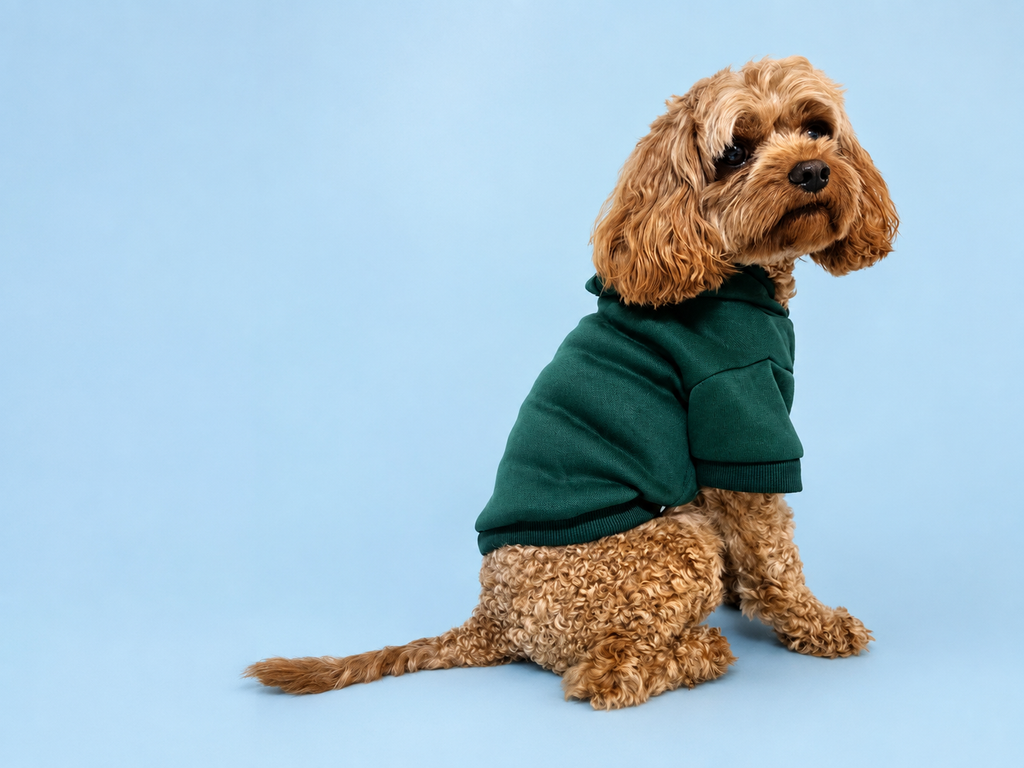 Pet Everyday Hoodie