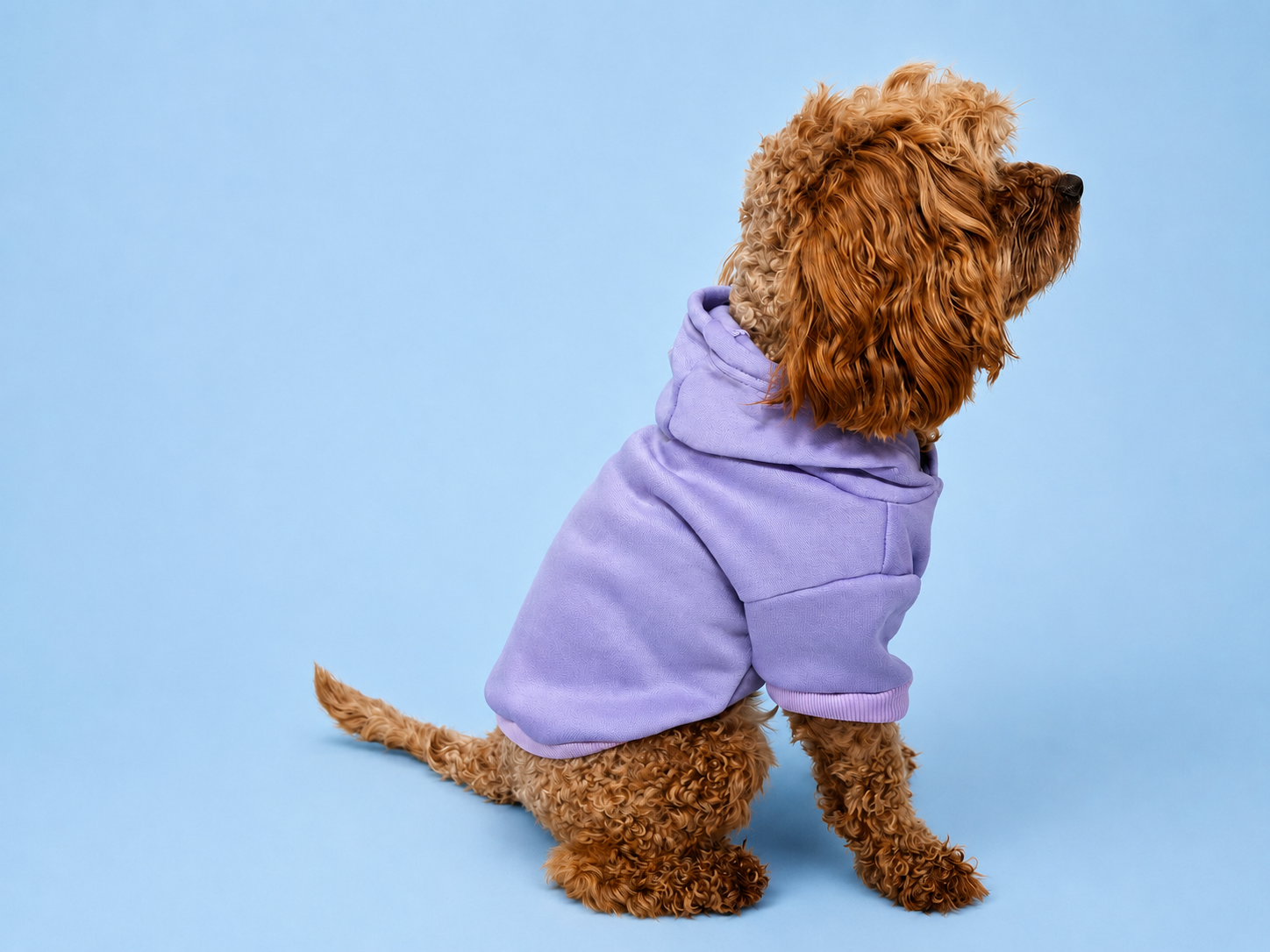 Pet Everyday Hoodie