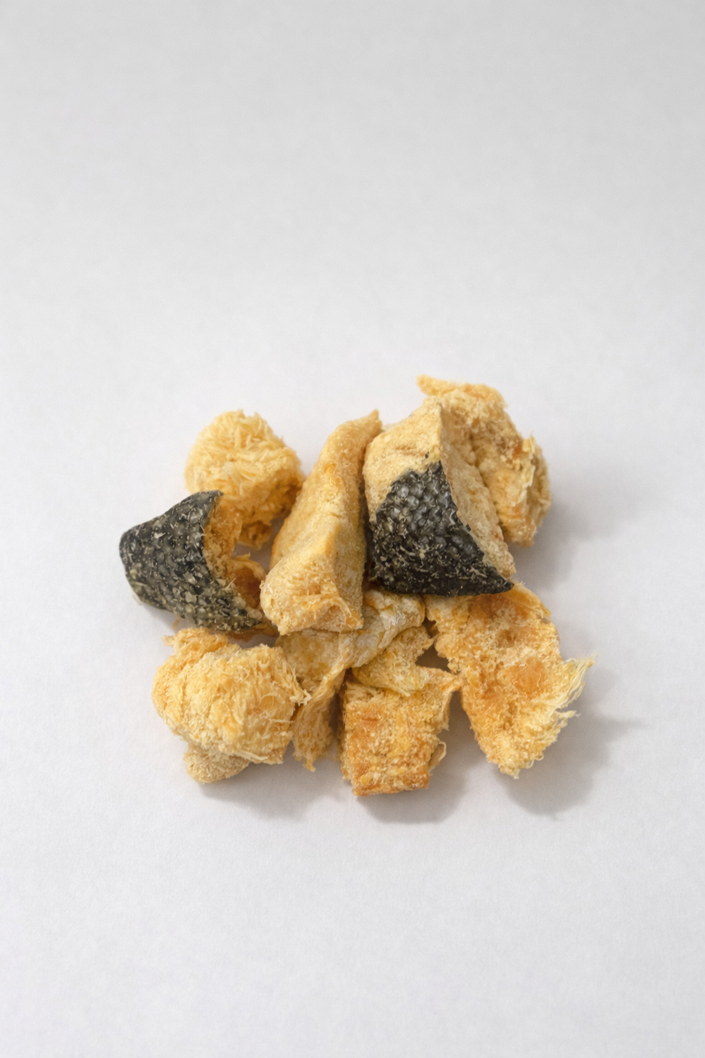 Ocean Salmon (100g)